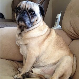 Meet your Posher, Carole